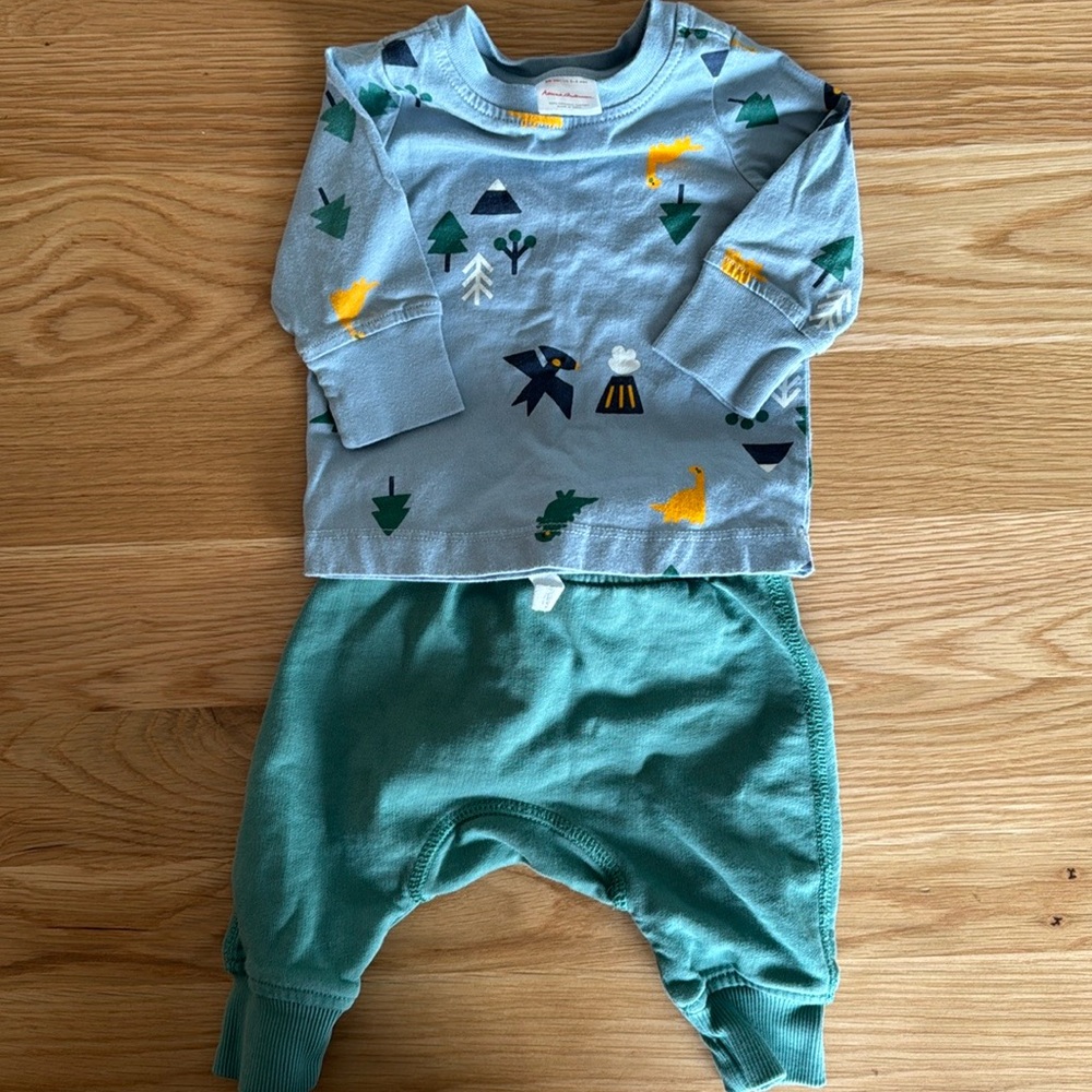 Hanna Andersson Dinosaur Set/ Outfit